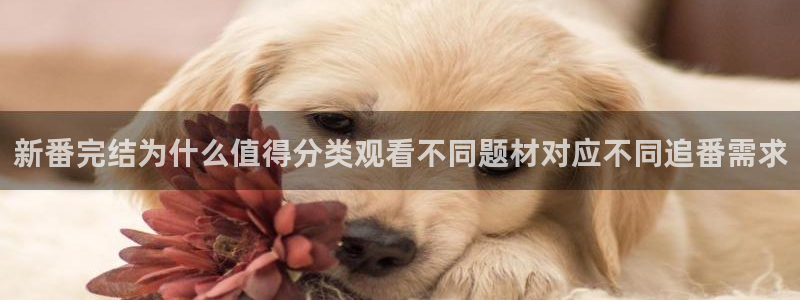 动漫大全网