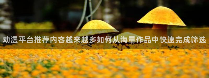 动漫在线观看网站
