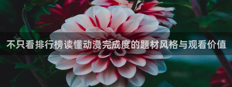 经典动画推荐