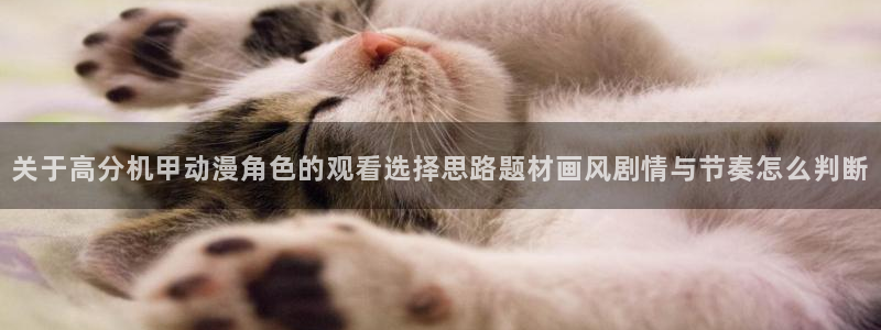 治愈动漫