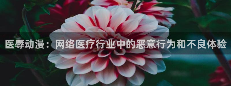 最新动漫推荐