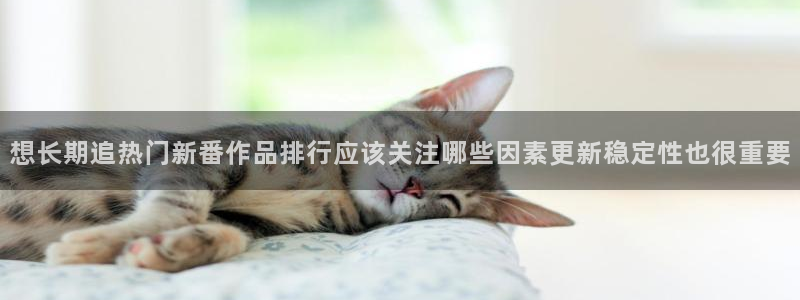 动漫新作推荐