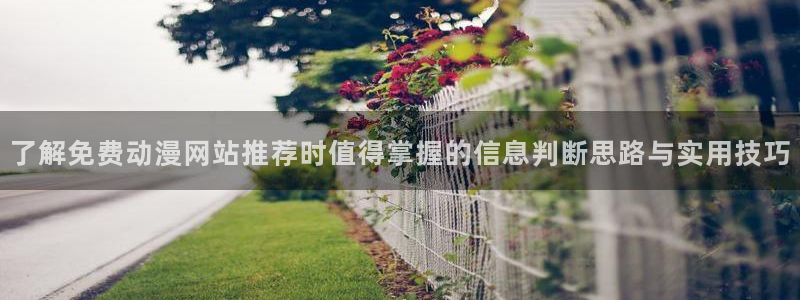 动漫内容导航