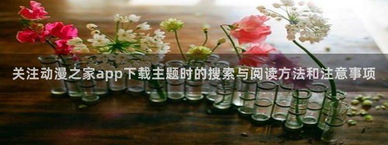 动漫大全