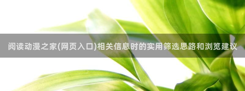 完结动漫推荐:阅读动漫之家(网页入口)相关信息时的实用筛选思路和浏览建议