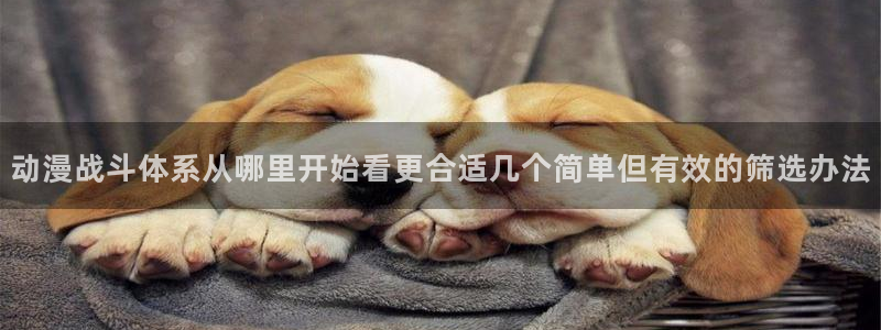 国漫排行:动漫战斗体系从哪里开始看更合适几个简单但有效的筛选办法