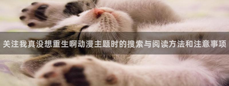 动漫评分排行